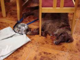 Resize of DSC06738.JPG